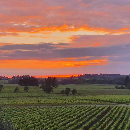 Chateau Fleur De Roques - Puisseguin Saint Emilion Eksteriør billede