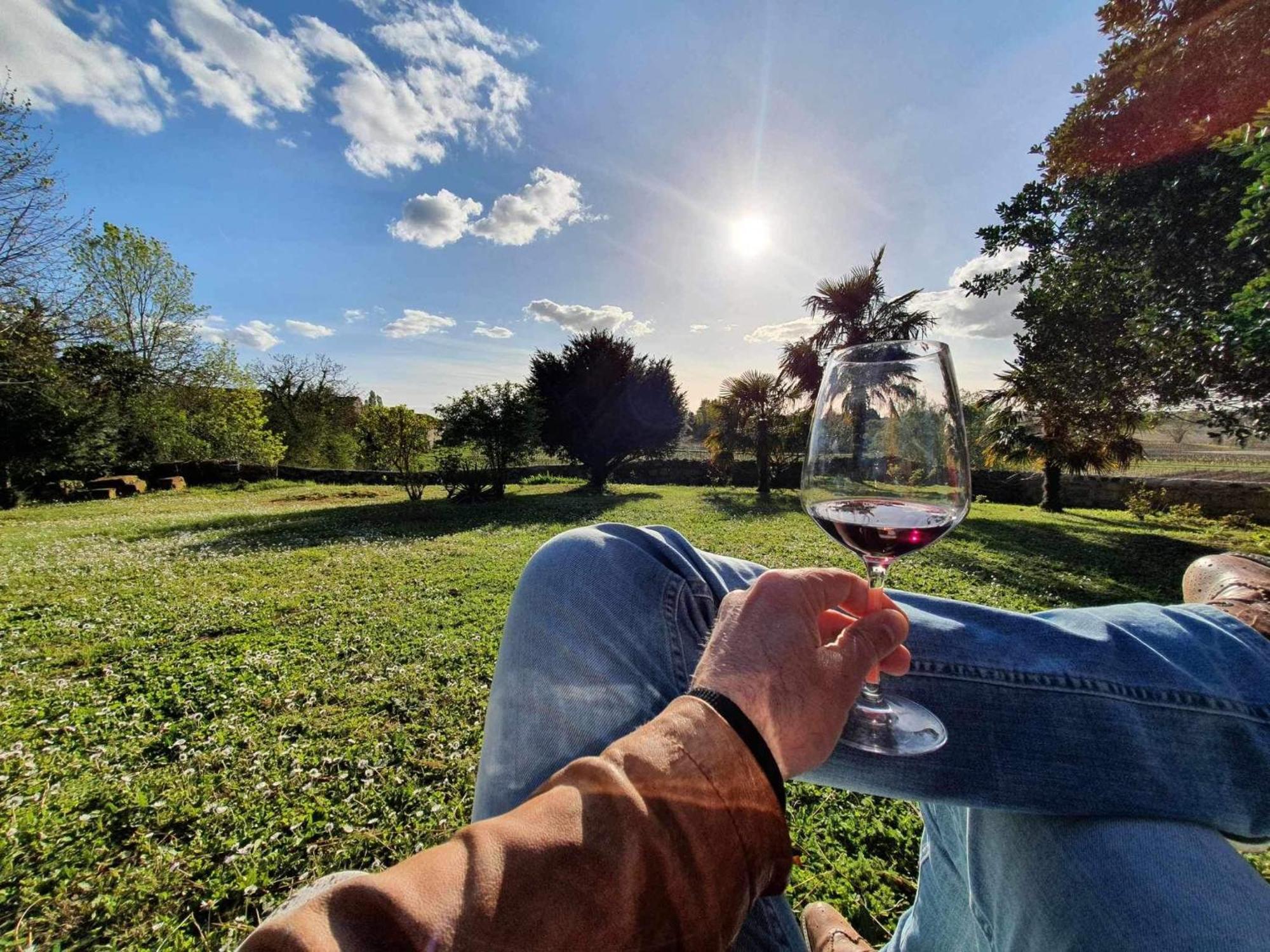 Chateau Fleur De Roques - Puisseguin Saint Emilion Eksteriør billede