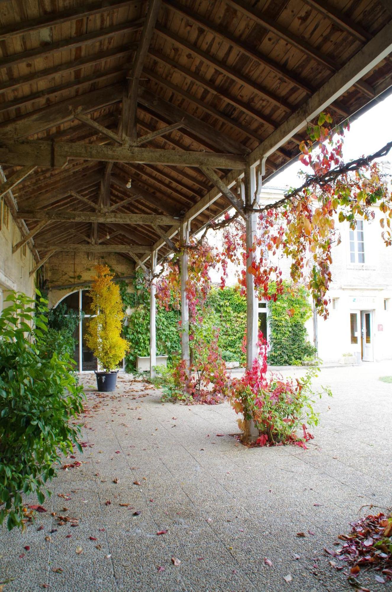 Chateau Fleur De Roques - Puisseguin Saint Emilion Eksteriør billede