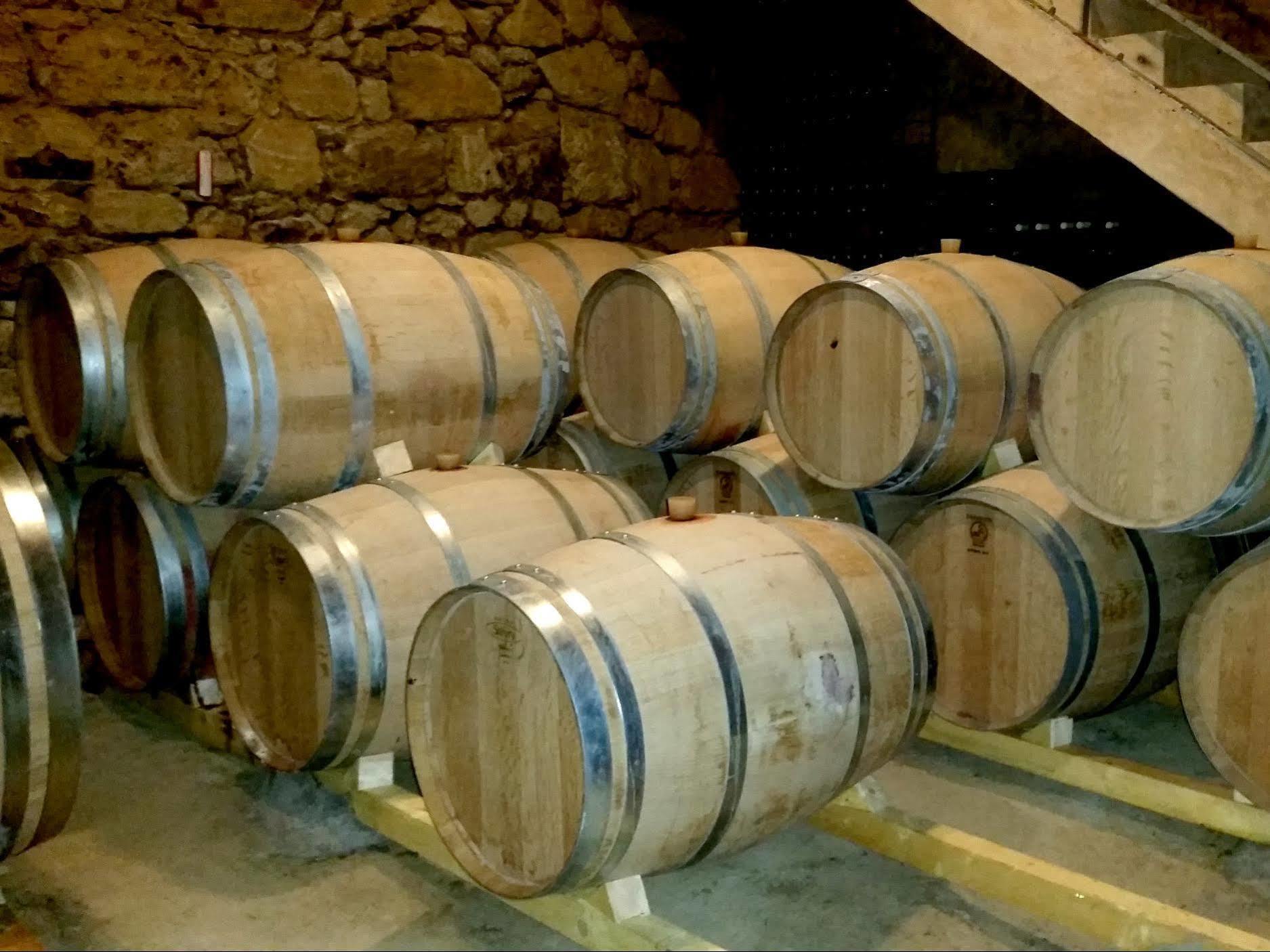 Chateau Fleur De Roques - Puisseguin Saint Emilion Eksteriør billede