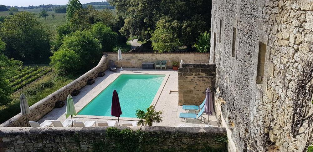 Chateau Fleur De Roques - Puisseguin Saint Emilion Eksteriør billede